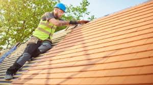 Roof Moss and Algae Removal in Cuero, TX